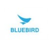 BLUEBİRD